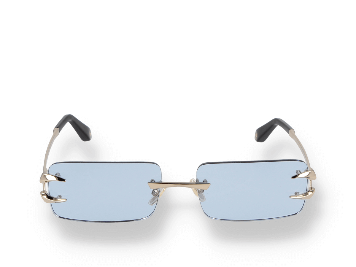 Roberto cavalli top sunglasses toronto