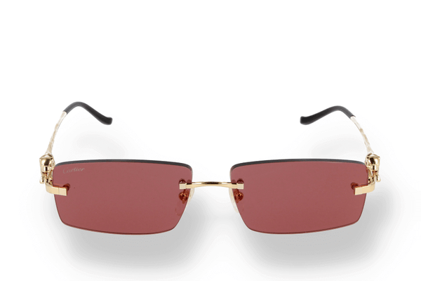 Cartier Eyewear Santos De Cartier Sunglasses - Farfetch