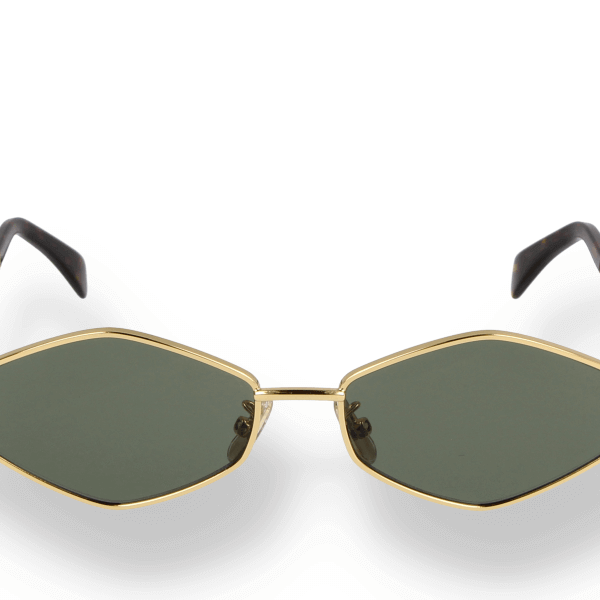 CELINE-CL40254U-30N-