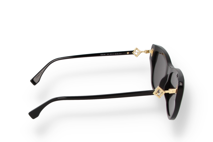 Maison Fendi Sunglasses FE40149I 01A display picture 1