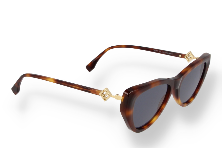 Fendi Maison Sunglasses FE40149I 53V