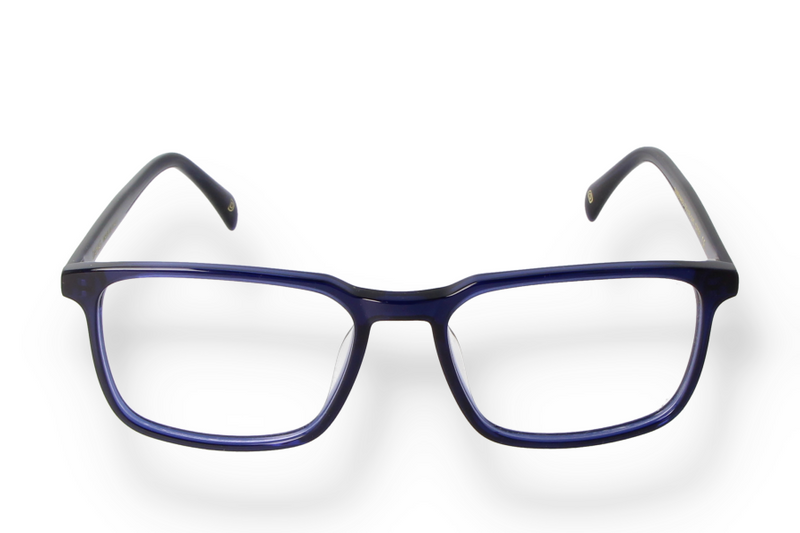 Occhiali da vista Damas DMS 1453 c700 frontale