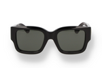 GG1663S 001