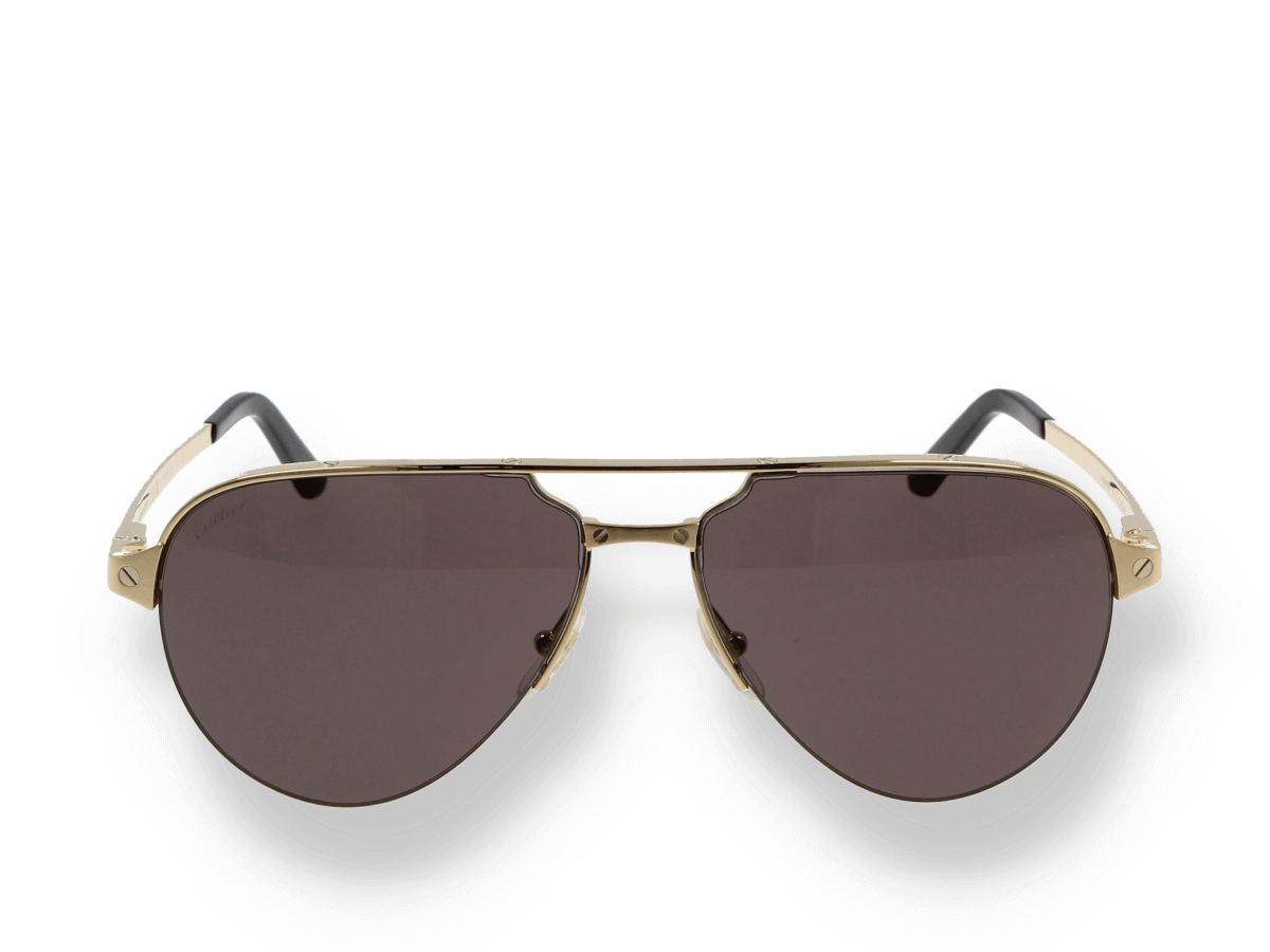 Cartier CT0386S 001 sunglasses