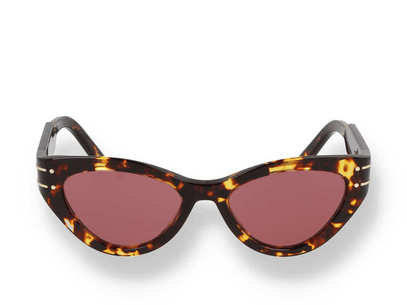 Dior sunglasses DIORSIGNATURE B7I 24n0