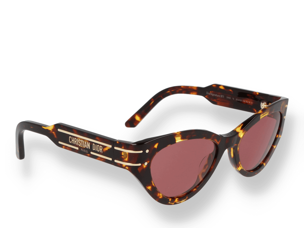 Dior outlets Sunglasses