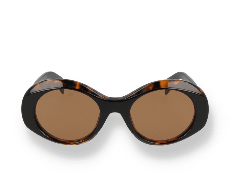 Occhiali da sole Palm Angels DOYLE SUNGLASSES HAVANA BROWN frontale